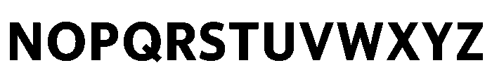 McClatchy Sans Text Bold Font UPPERCASE
