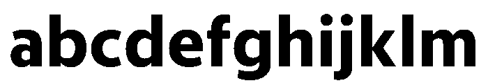 McClatchy Sans Text Bold FONT