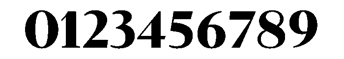 McClatchy Serif Bold Font OTHER CHARS