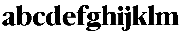 McClatchy Serif Bold FONT