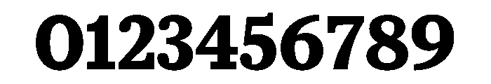 McClatchy Slab Bold Font OTHER CHARS
