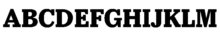 McClatchy Slab Bold Font UPPERCASE