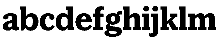 McClatchy Slab Bold FONT