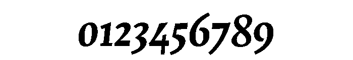 Merwede Bold Italic Font OTHER CHARS