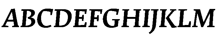 Merwede Bold Italic Font UPPERCASE