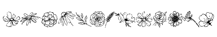 Meadow Flower FONT