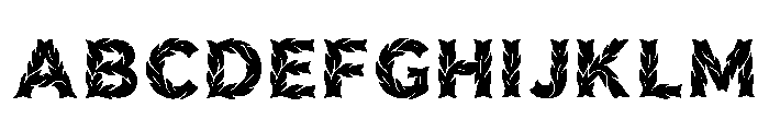 Melva Regular FONT