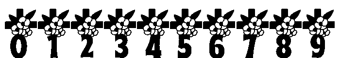 Memorial Bloom Font OTHER CHARS