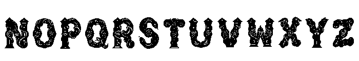 Merlor Regular Font UPPERCASE
