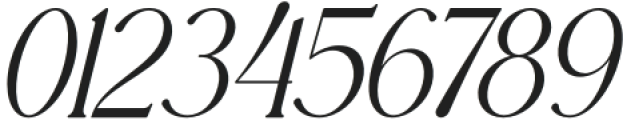 Meaglone Italic otf (400) Font OTHER CHARS