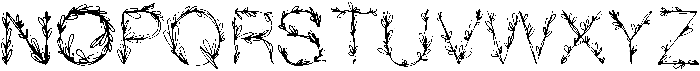Medium otf (500) Font UPPERCASE