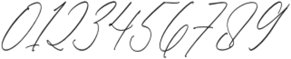 Megitran Carolinesh Script Italic otf (400) Font OTHER CHARS