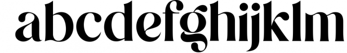 Megan Display Font Font LOWERCASE