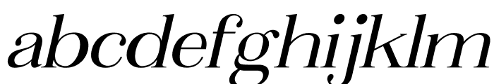 Metafiz Italic Font LOWERCASE