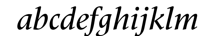 MeridienLTStd-MediumItalic Font LOWERCASE