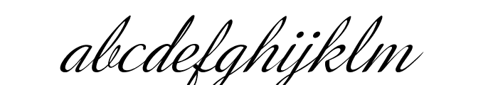 Merino-Italic Font LOWERCASE