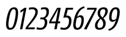 Mellnik Condensed Light Italic Font OTHER CHARS