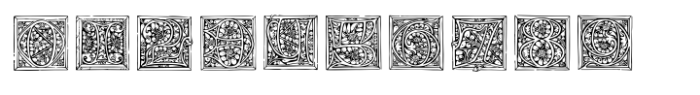 Medieval Initials Regular Font OTHER CHARS