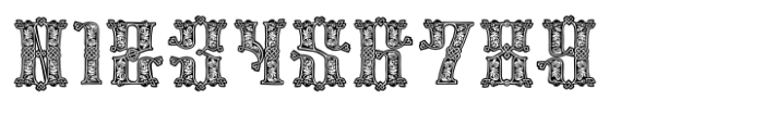 Medieval Knots Regular Font OTHER CHARS
