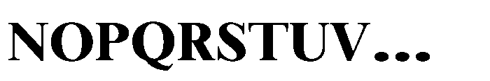 Meetake Serif Black Font UPPERCASE