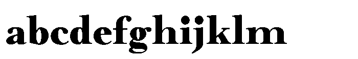Meetake Serif Black FONT