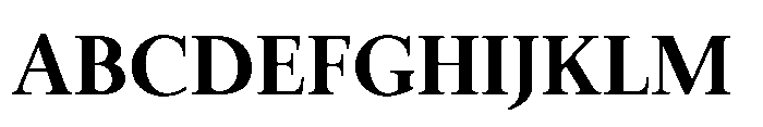 Meetake Serif Bold Font UPPERCASE