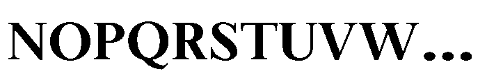 Meetake Serif Bold Font UPPERCASE