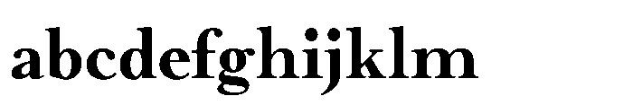 Meetake Serif Bold FONT