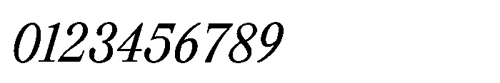 Meetake Serif Italic Font OTHER CHARS