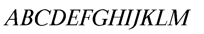 Meetake Serif Italic Font UPPERCASE