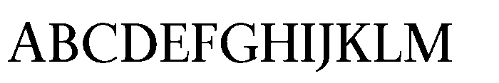 Meetake Serif Regular Font UPPERCASE