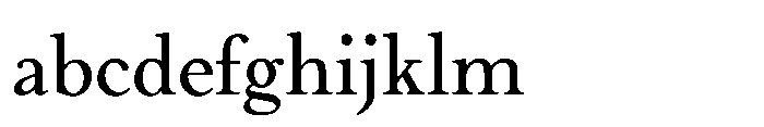 Meetake Serif Regular FONT