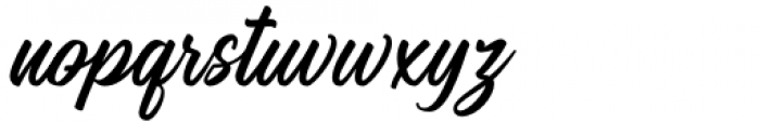 Megatype Script Regular Font LOWERCASE