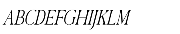 Megunso Italic FONT