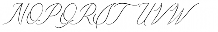 Meillyne Italic Font UPPERCASE