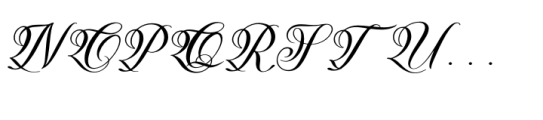 Mellyani Rojalty Regular Font UPPERCASE