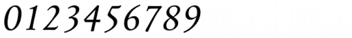 Mengelt Basel Antiqua Italic Font OTHER CHARS