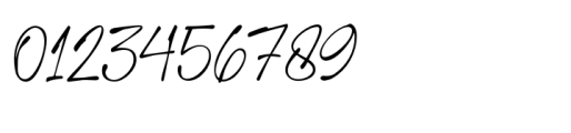 Mercedes Signature Font OTHER CHARS