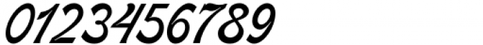 Meritorious Script  Regular Font OTHER CHARS