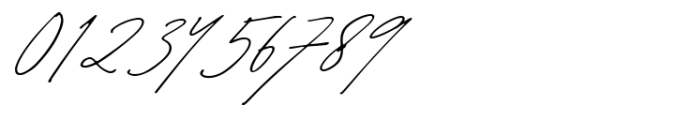 Merryas Signature Font OTHER CHARS