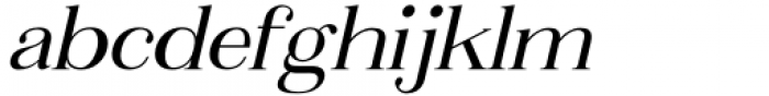 Metafiz Italic Font LOWERCASE