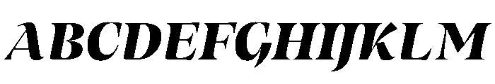 MedleyItalic BlackItalic Instance 41d87386 Font UPPERCASE