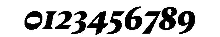 MedleyItalic BlackItalic Instance Font OTHER CHARS