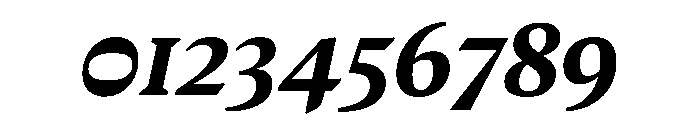 MedleyItalic BoldItalic Instance Font OTHER CHARS