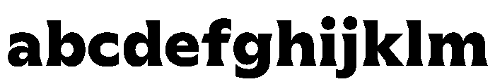 Meso Bold Instance FONT