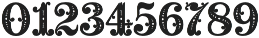 MFC Noir Monogram Ornate Bound Regular otf (400) Font OTHER CHARS