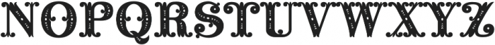 MFC Noir Monogram Ornate Regular otf (400) Font UPPERCASE