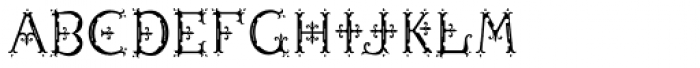 MFC Diresworth Monogram Fill Font LOWERCASE