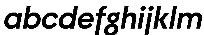 Mg BoldItalic FONT
