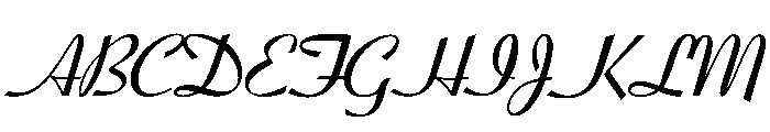 Minetto Variable Bold Font UPPERCASE